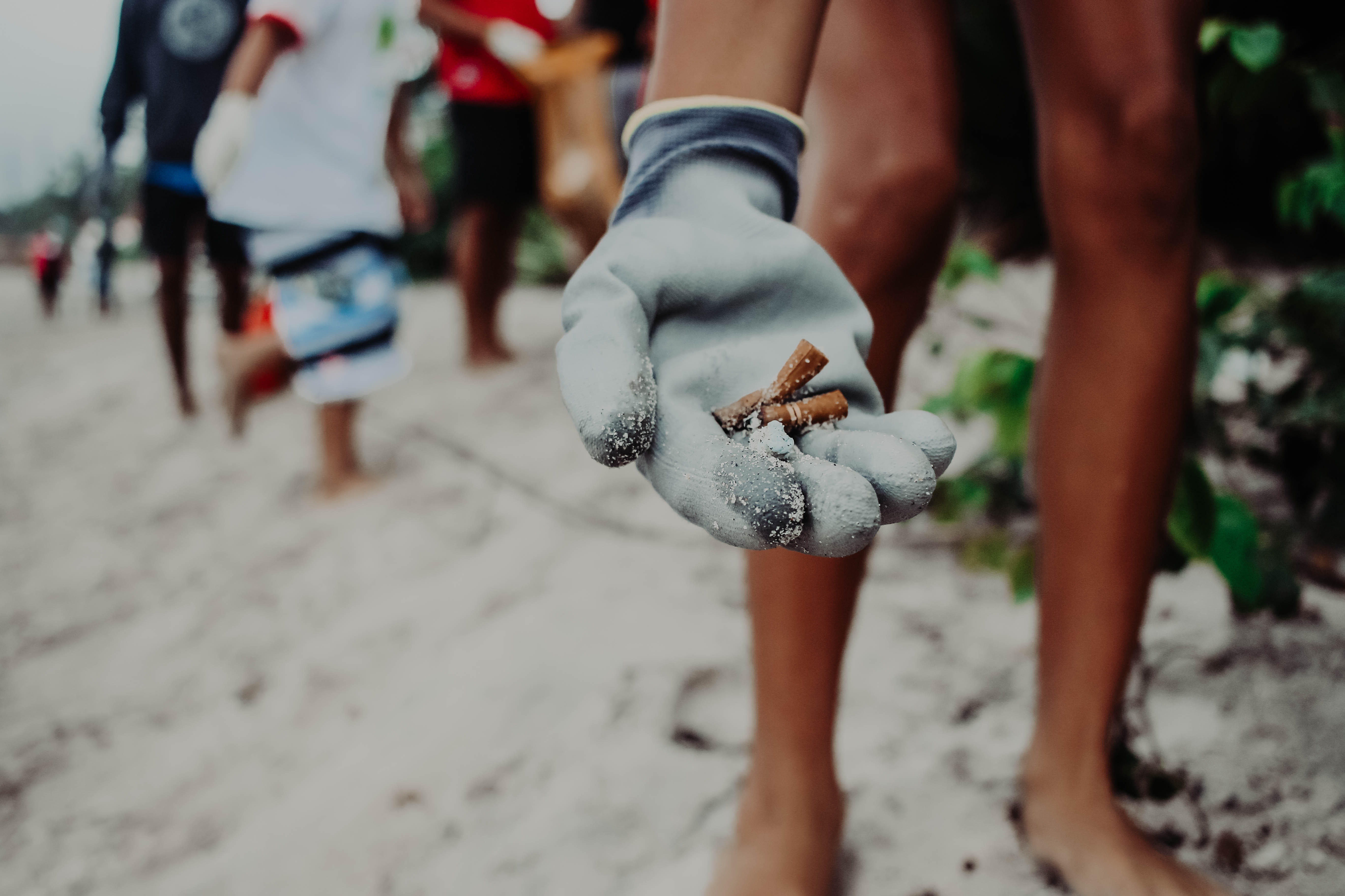Limpeza de praia — bitucas recolhidas