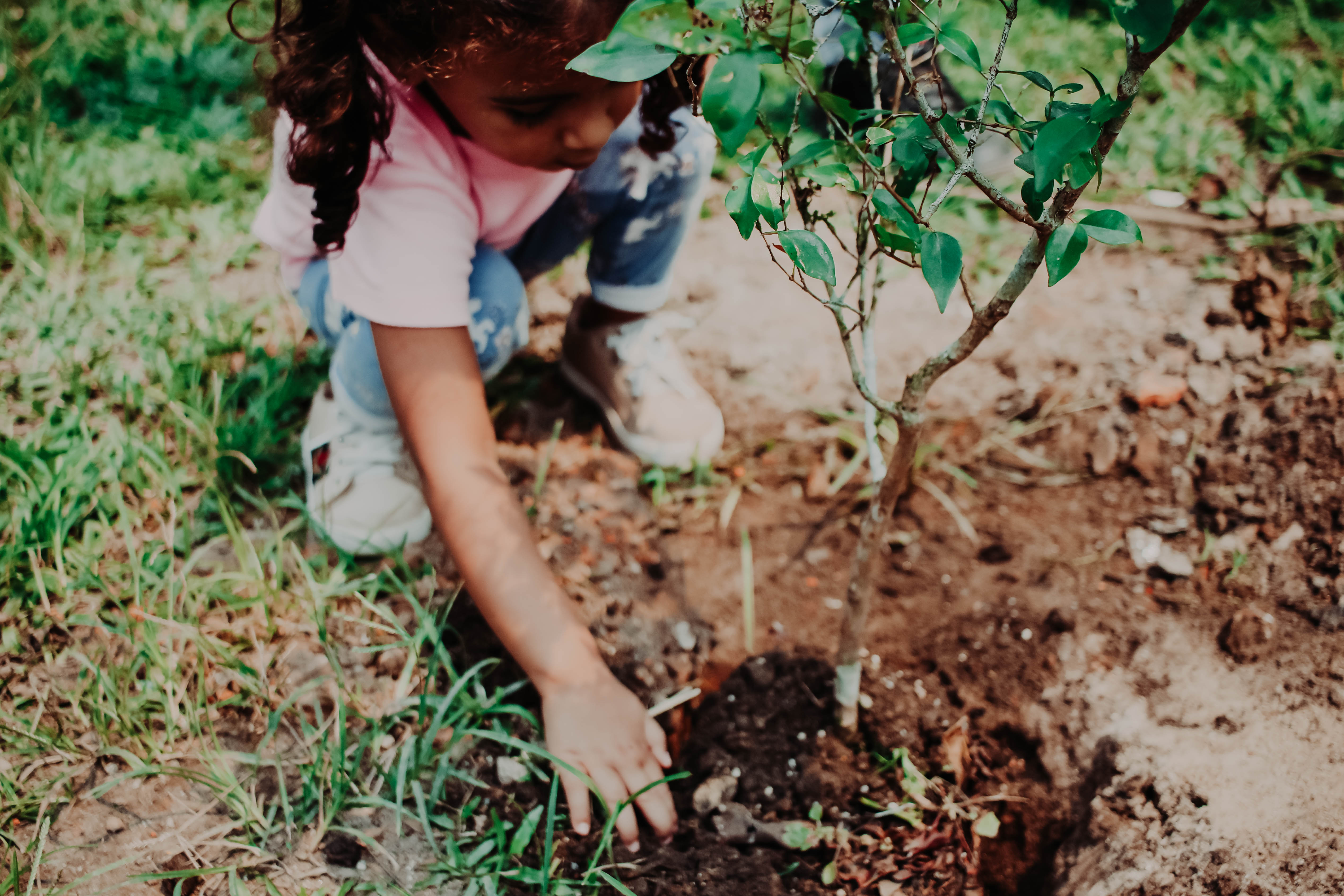 Criança plantando muda